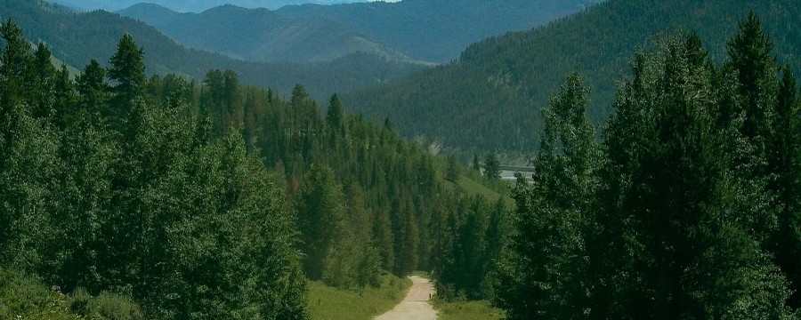Fall Creek Road